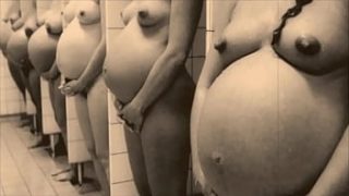 ‘Retro Pregnant Babes’ The Sexual Memoirs of an English Gentleman