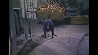 Hospital da Corrupcao e dos Prazeres