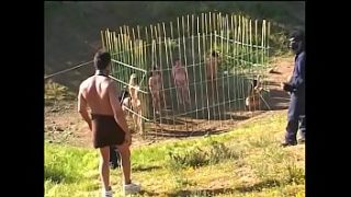 Kinky brunette slut jump on the hard dick by her twat in the cage